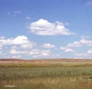 Nebraska landscape