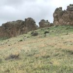 Devil's Backbone meadow